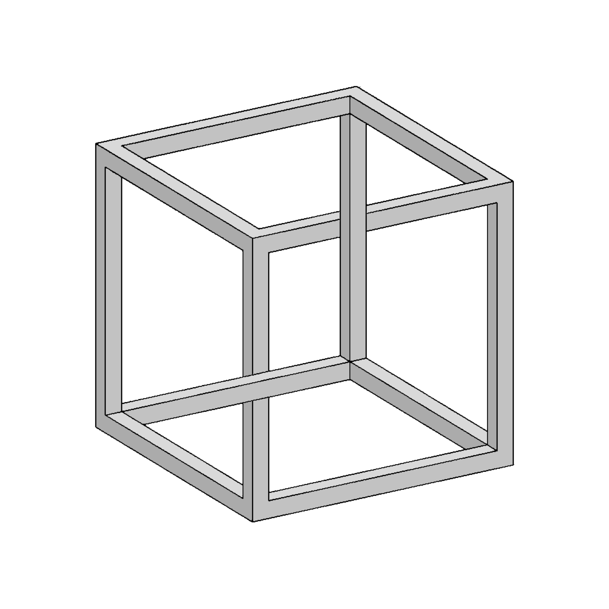 Necker Cube